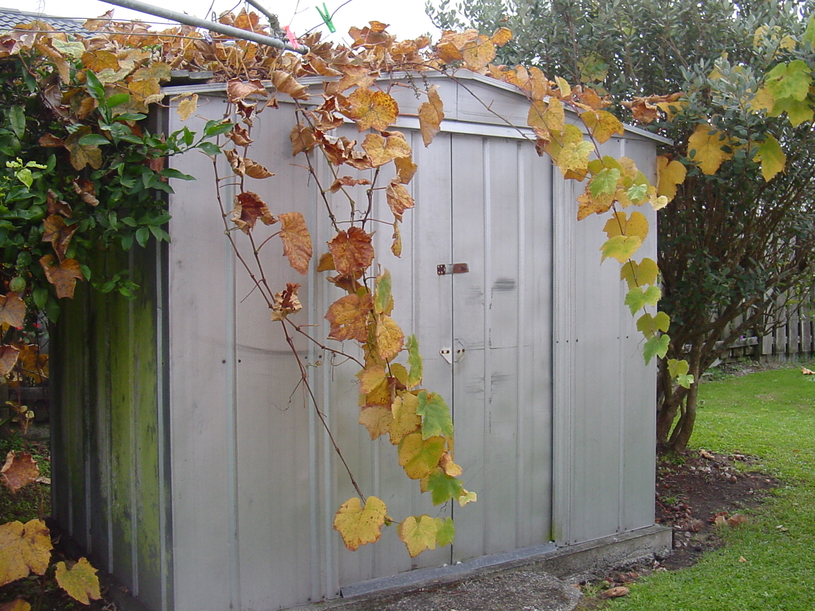 Metal Garden Shed