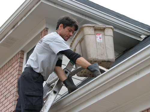 Tips From a Professional Gutter Cleaner