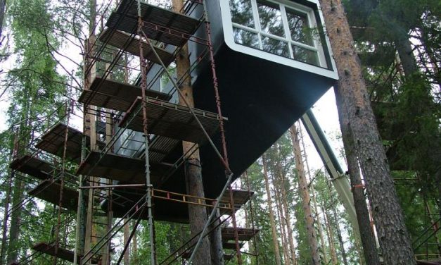 Sweden’s Treehotel