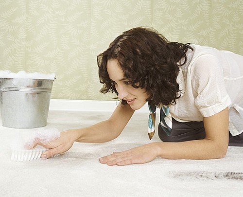 how to get rid of toxic mold in home