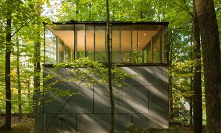 Ultimate Treehouse Getaway in Olive Bridge New York by Gluck & Partners Architects