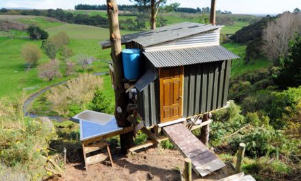 Environment and Economic Friendly Tree House in New Zealand by Jono Williams and Friends